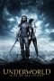 Underworld: Rise of the Lycans (2009)