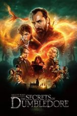 Nonton Film Fantastic Beasts: The Secrets of Dumbledore (2022) Sub Indo